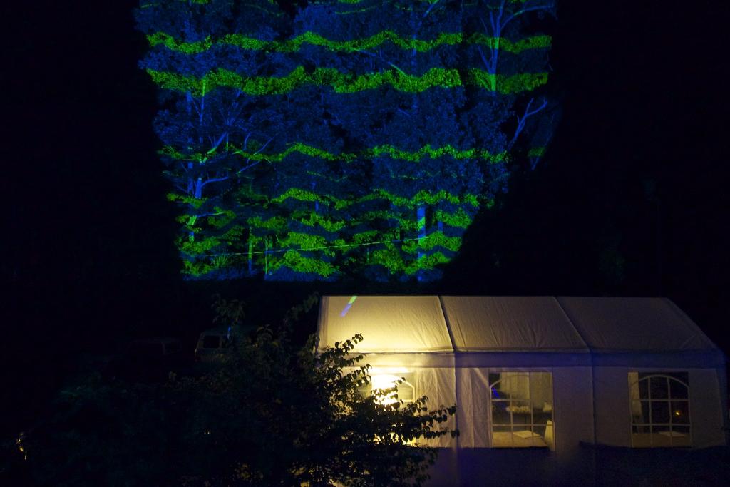 A giant projection into the woods across from our lodge using a 10,000 lumen projector. Photo by Faythe Levine